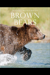 Brown Bears